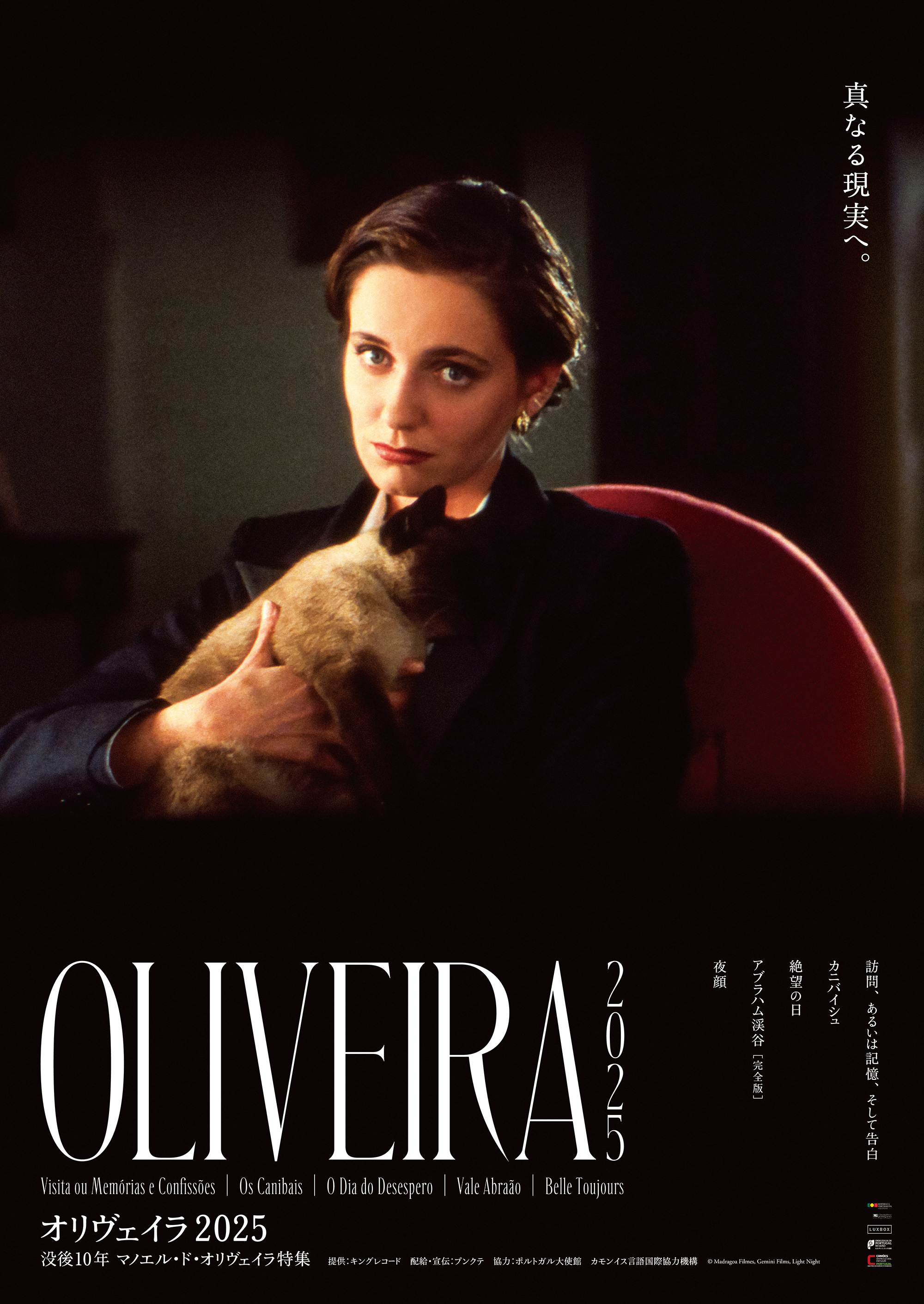 ※期間限定半額セール！※新品【傑作_DVD-BOX】マノエル・ド・オリヴェイラ マノエル・ド・オリヴェイラ傑作選 DVD-BOX Amazon.co.jp: 504